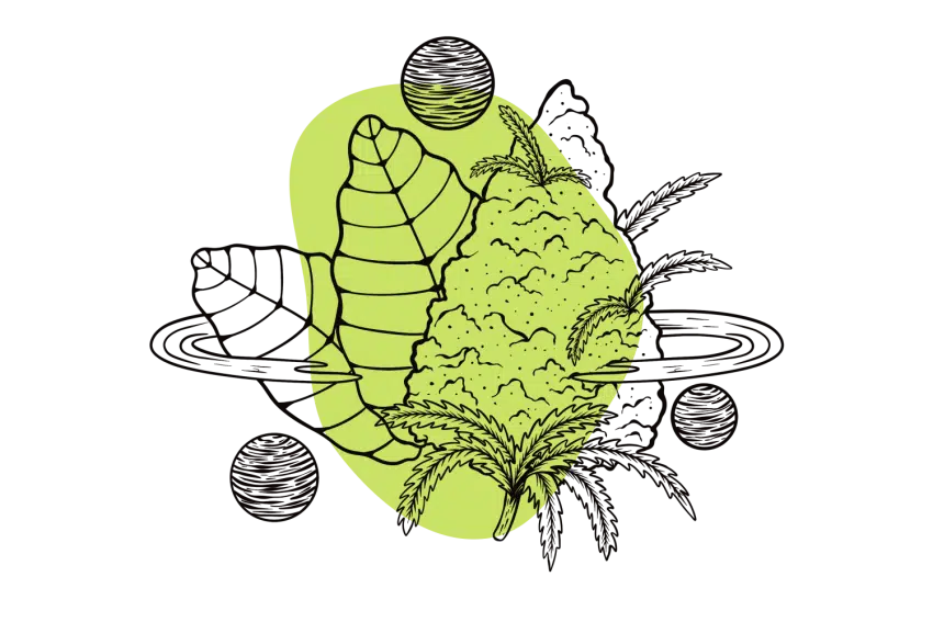 Medical Benefits of LSD